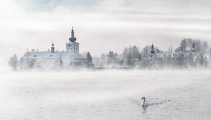 开云中国-传奇场地再现：著名球场背后的故事与揭秘，传奇场地再现_著名球场背后的故事与揭秘